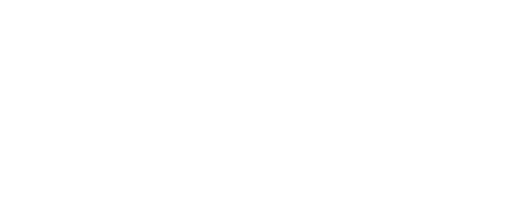 NTC Light Logo